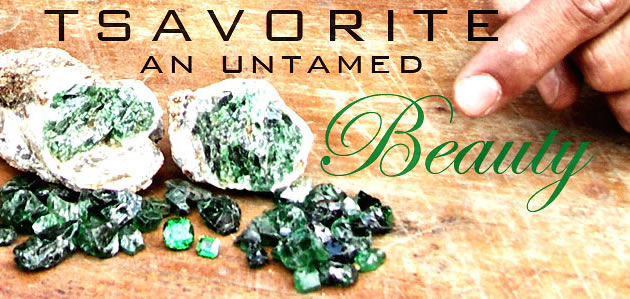 Tsavorite —The Untamed Beauty